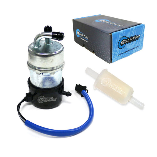 QUANTUM FRAME MOUNTED EFI FUEL PUMP WITH FUEL FILTER #QFHFP183F2