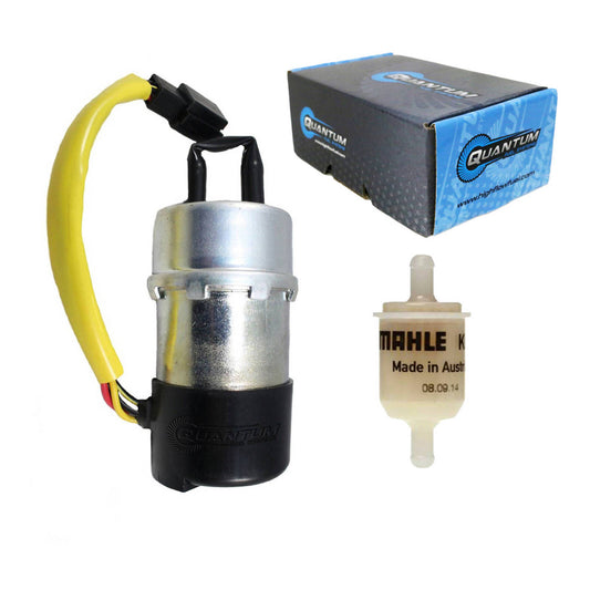 QUANTUM FRAME-MOUNTED ELECTRIC FUEL PUMP W/ FILTER #QFHFP184008F