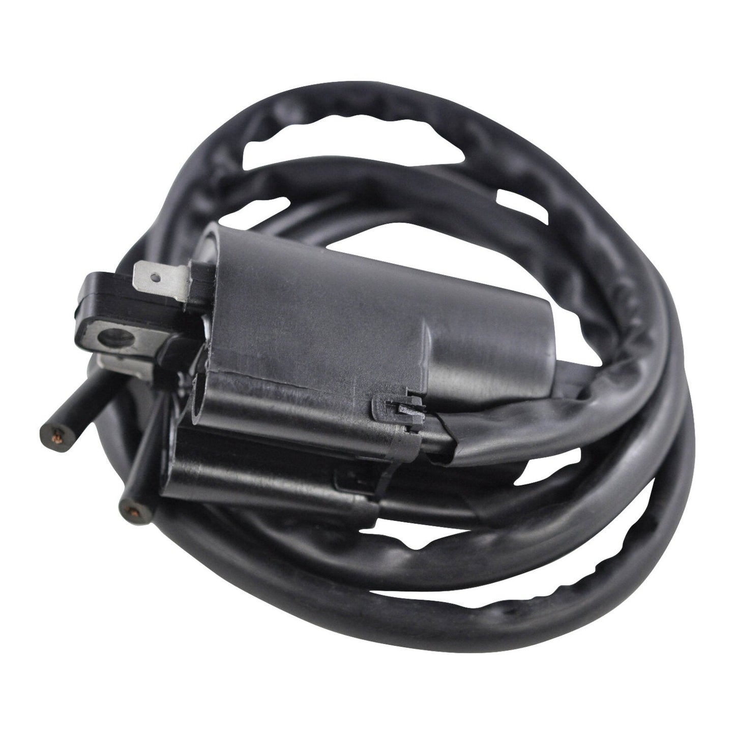 EXT IGN COIL ASSTD YAM MODELS  (RM06188) #RMS06188